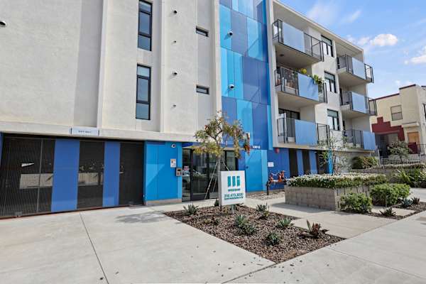 Palms Blue by Wiseman property